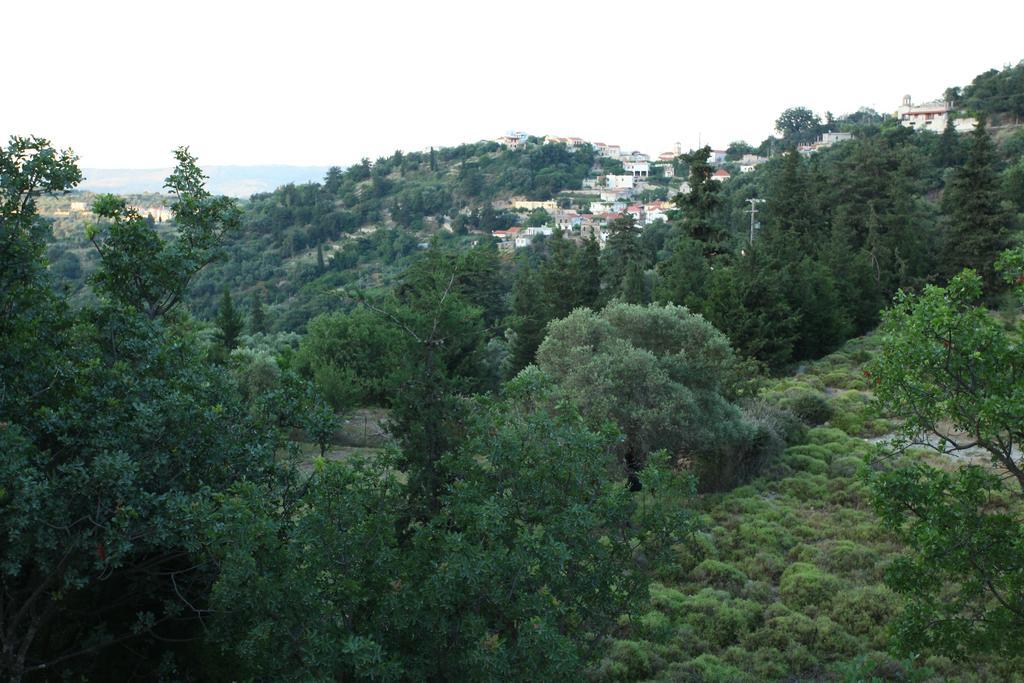 Villa Athina Argiroupolis Phòng bức ảnh